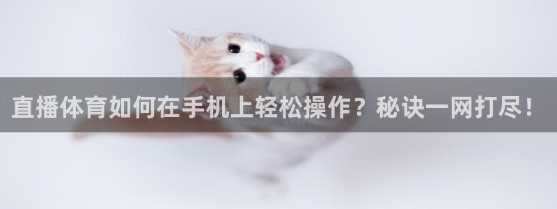 直播体育如何在手机上轻松操作？秘诀一网打尽！