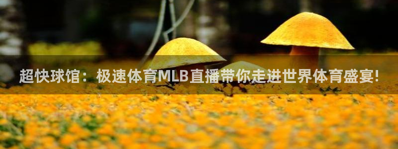 超快球馆：极速体育MLB直播带你走进世界体育盛宴!