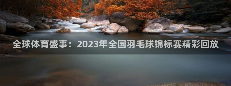 全球体育盛事：2023年全国羽毛球锦标赛精彩回放