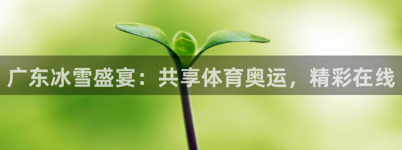 广东冰雪盛宴：共享体育奥运，精彩在线