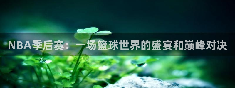 NBA季后赛：一场篮球世界的盛宴和巅峰对决