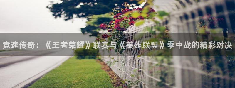 新闻图片